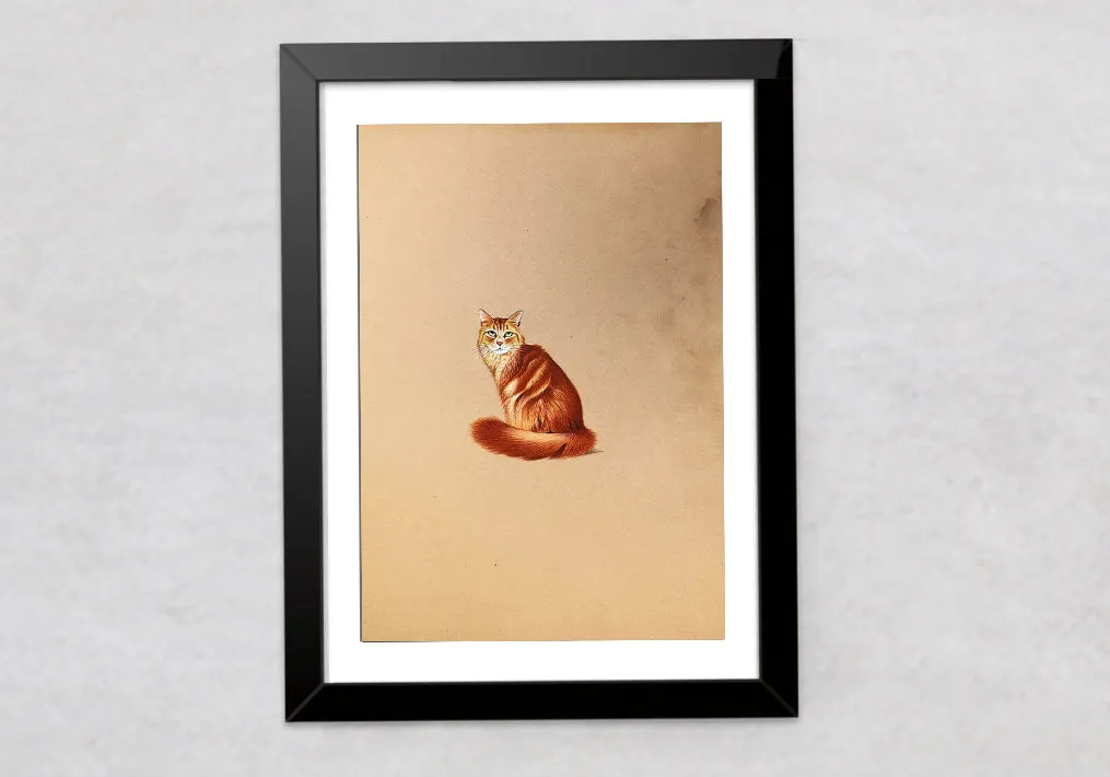 A Friendly Cat in Miniature Painting by Mohan Prajapati