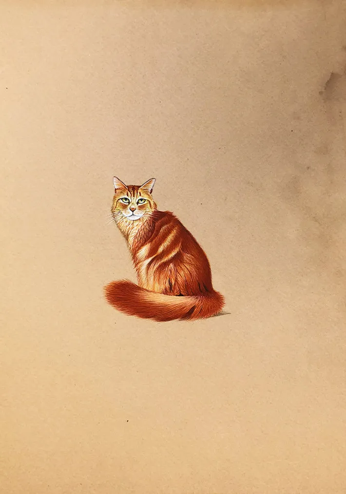 A Friendly Cat in Miniature Painting by Mohan Prajapati