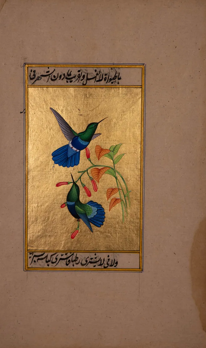 Azure Plumage, Emerald Flight: A Mughal Miniature of Hummingbirds by Mohan Prajapati