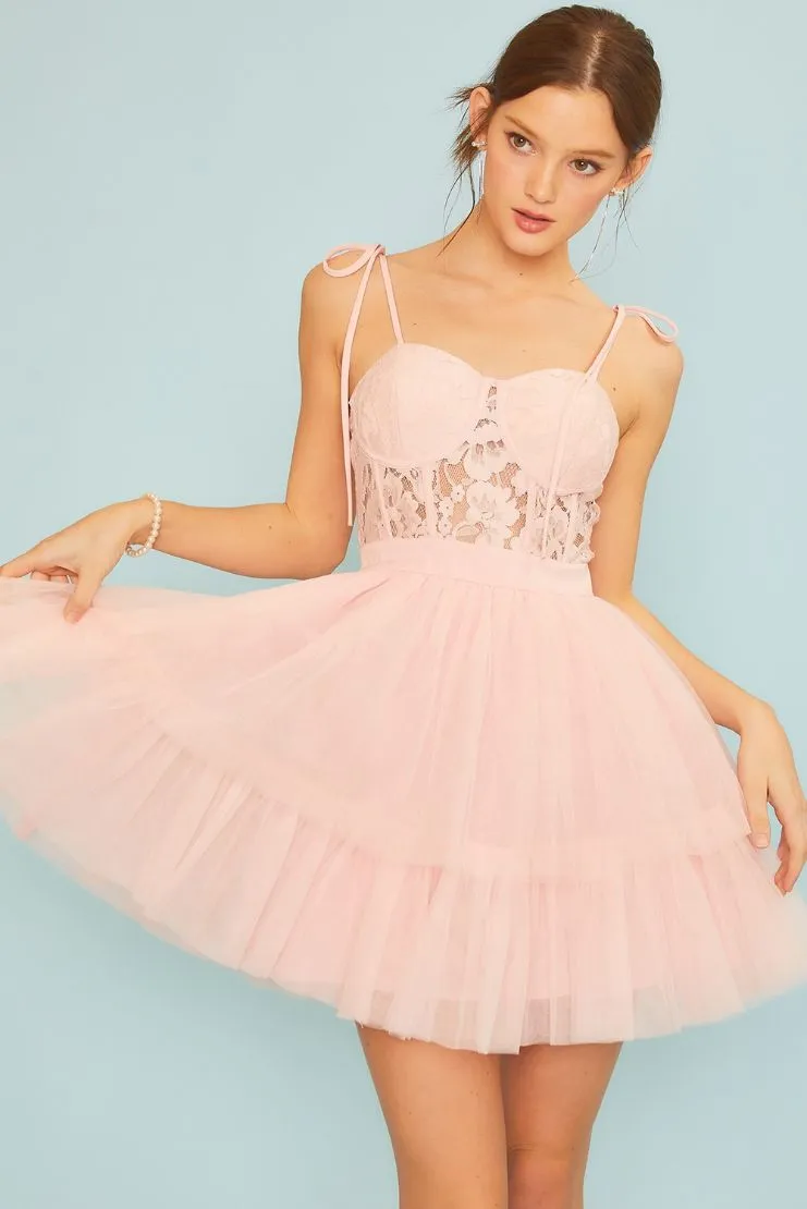 Bailey Lace Bustier Tulle Mini Dress