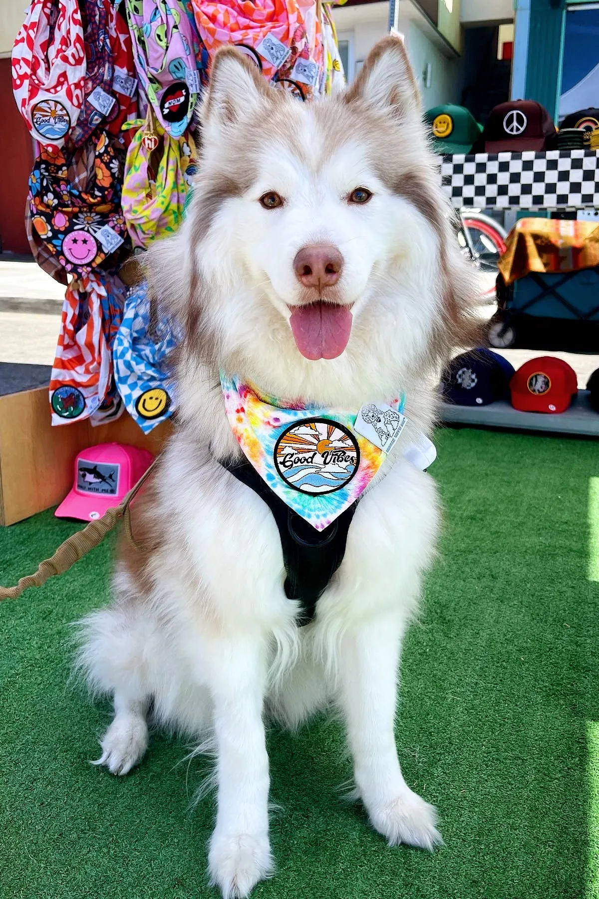 Dog Bandana Tie Dye - Customize with Interchangeable Velcro Patches