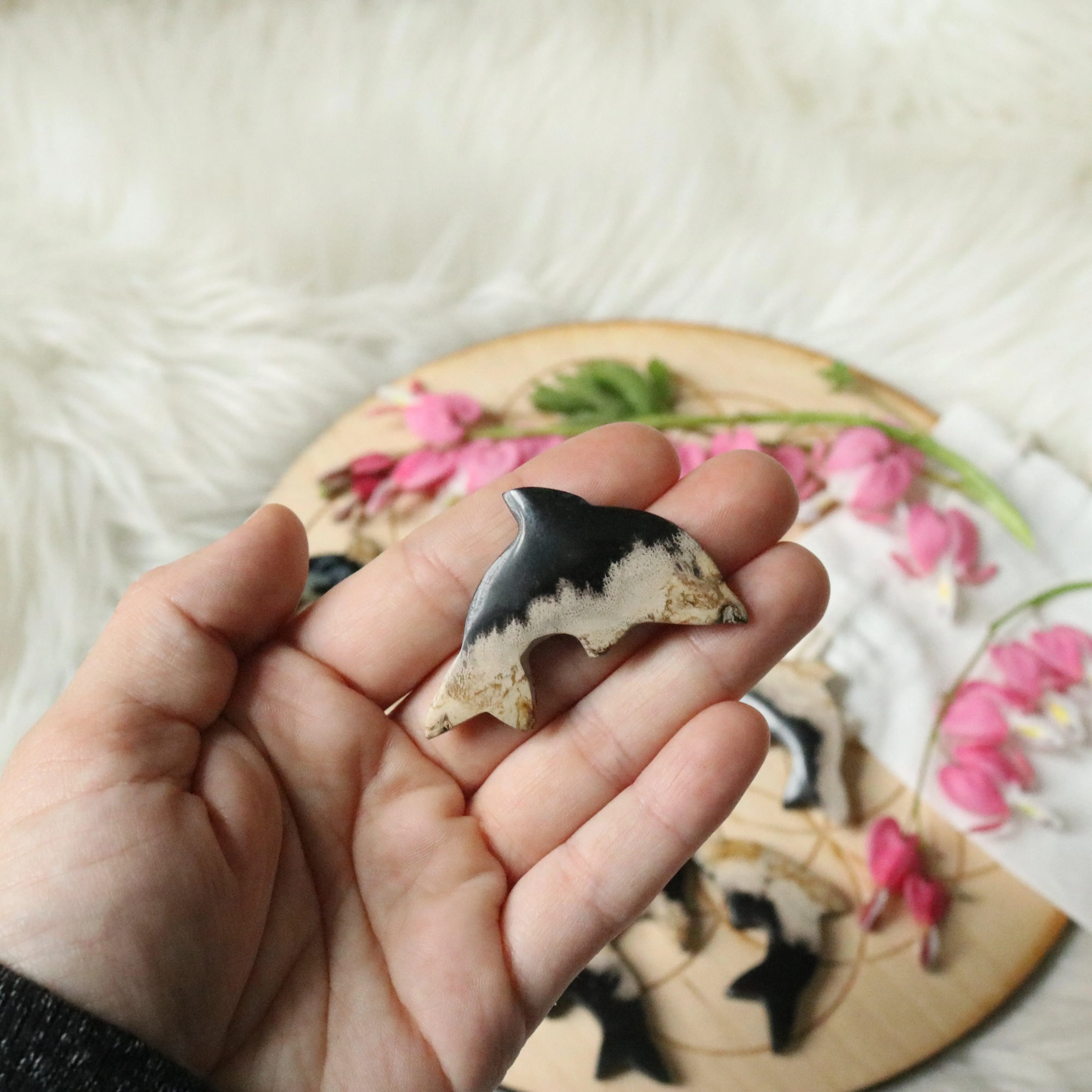 Petrified Palm Root Dolphin Carving ~ Cabochon ~ Great for Crafting