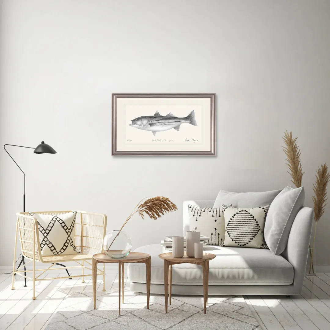 Striped Bass, 30 lbs. Print (b&w)