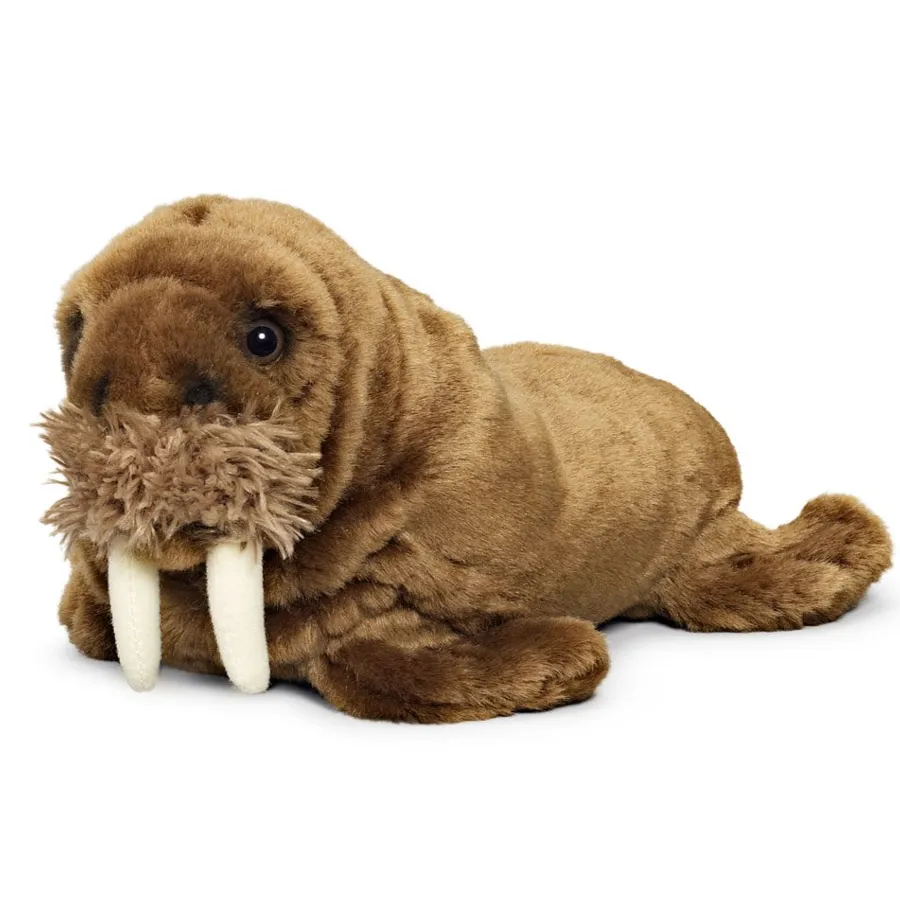 Walrus